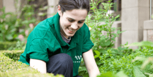 Greener Glasgow Helper at Work