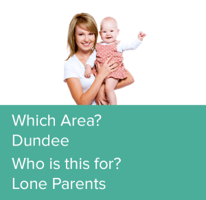 Smart Lone Parents Project Link