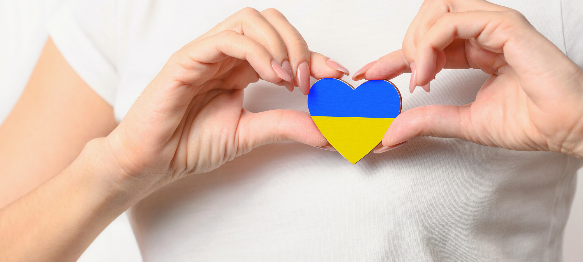Ukraine Wise Steps